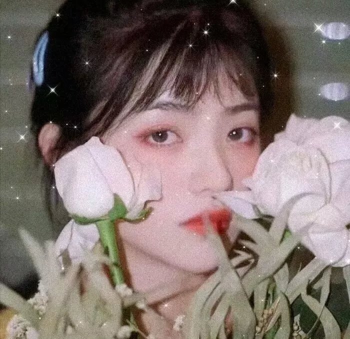 煮妇神探